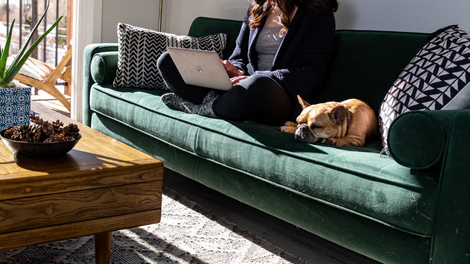 a woman sitting on a couch with a dog on her lap at The Bighorn Crossing